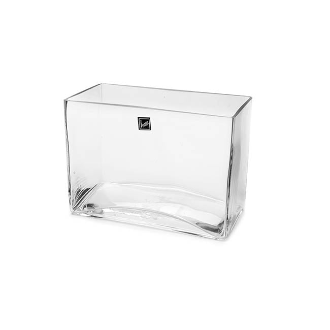 Glass Rectangle Vase Clear (20x10x15cmH)