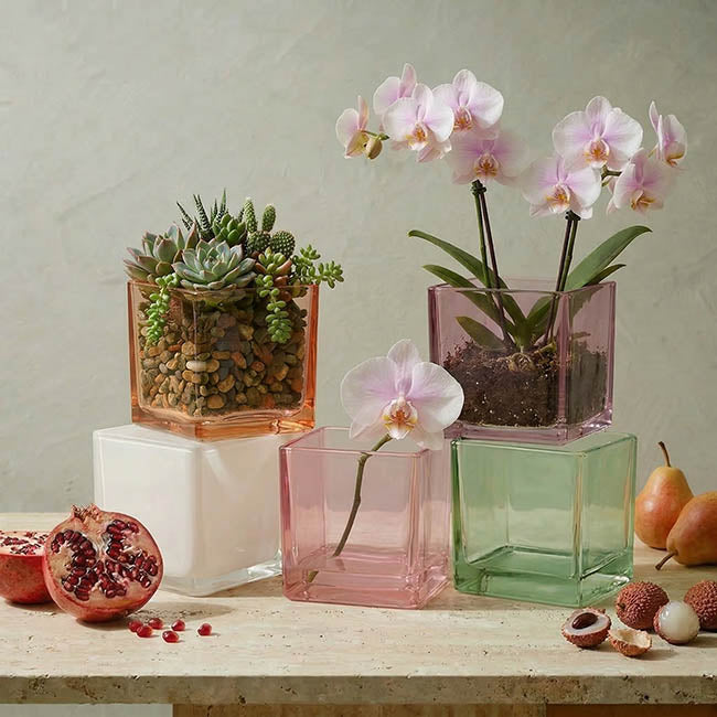 Pressed Glass Cube Vase Solid Sage (12x12x12cmH)
