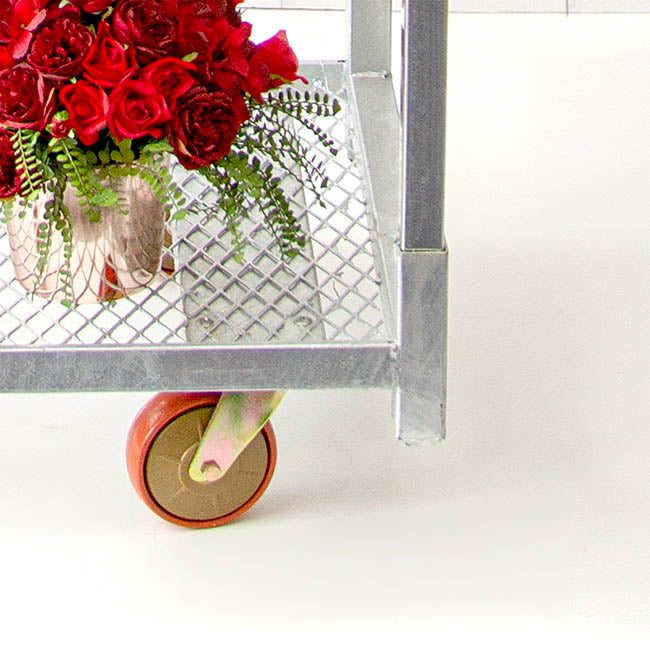 Flower & Plant Trolley Half 2 Mesh Shelf (71.5X56.5x190cmH)