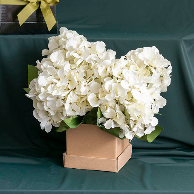 Posy Box Lid Mini Matte Kraft Pack 5 (14x14x3.5cmH)