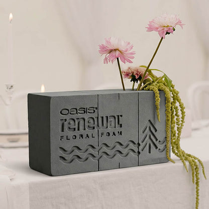 Oasis Renewal Premium Floral Foam 20 Bricks (23x11x8cmH)