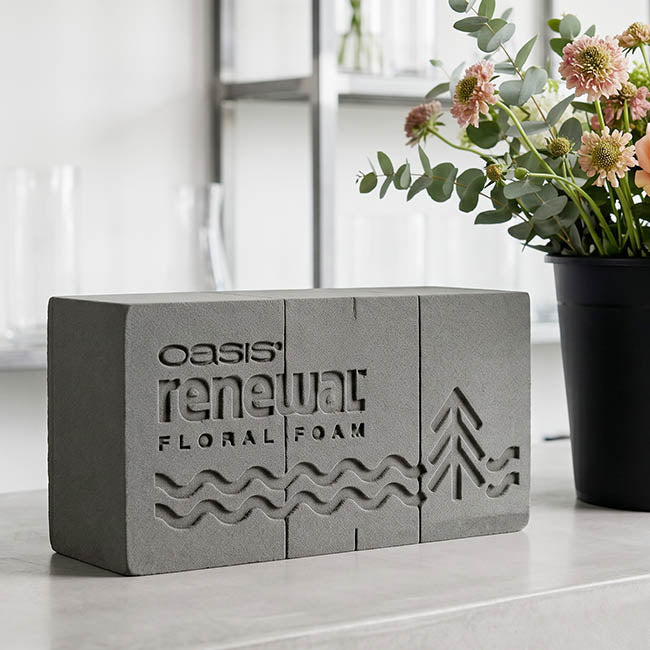 Oasis Renewal Premium Floral Foam 20 Bricks (23x11x8cmH)