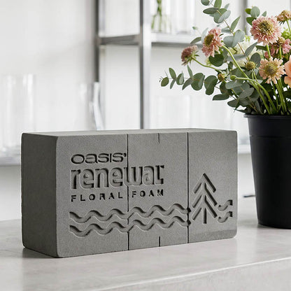 Oasis Renewal Premium Floral Foam 20 Bricks (23x11x8cmH)