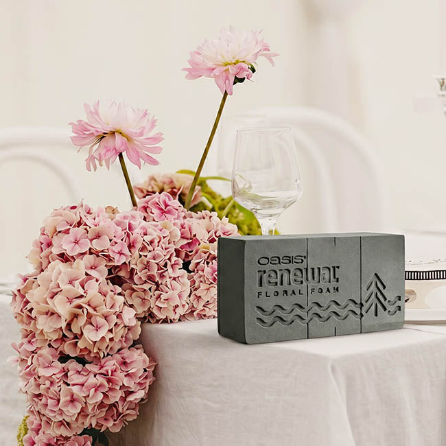 Oasis Renewal Premium Floral Foam 20 Bricks (23x11x8cmH)