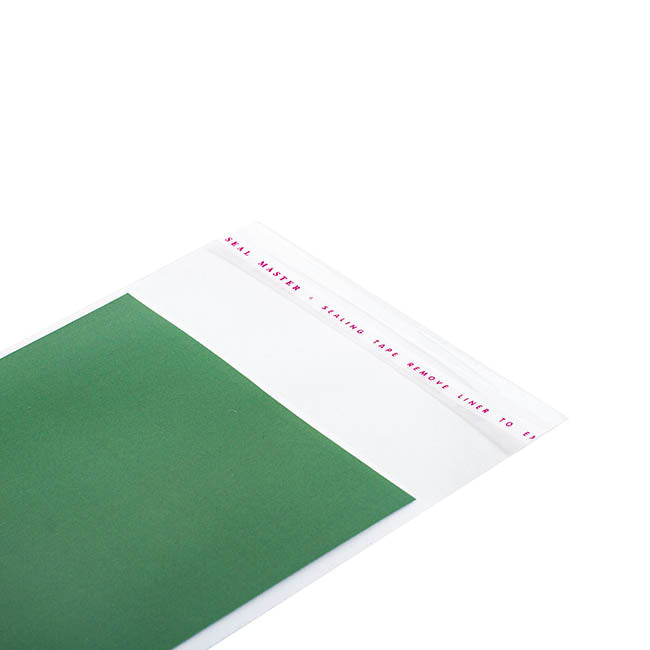 Cello Bag Self Seal 48mic Pack 100 Clear (10.5x22cmH) DL