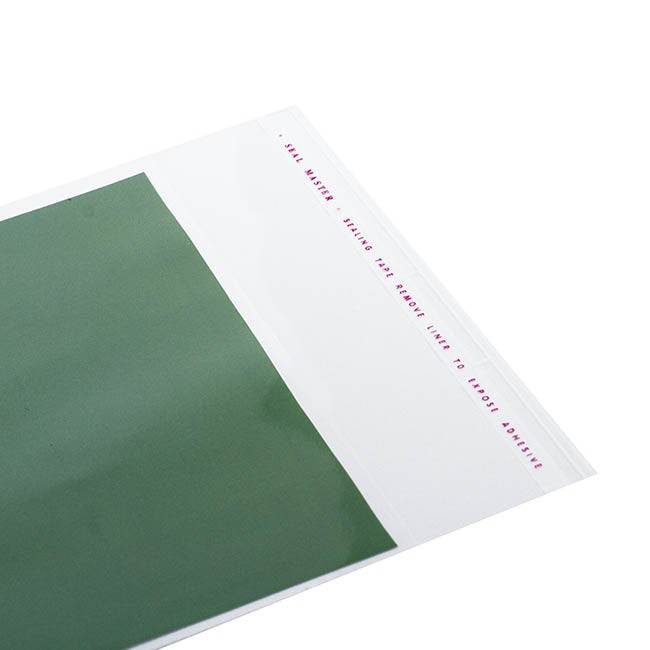 Cello Bag Self Seal 48mic Pack 100 Clear (15.5x15cmH)