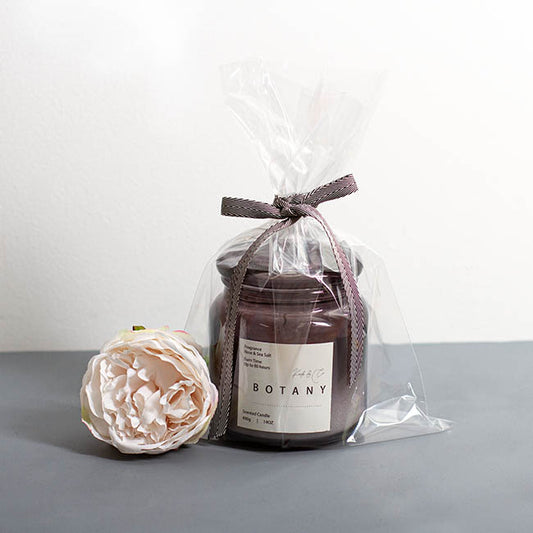 Cello Bag 48mic Pack 100 Clear (21x30cmH) A4 Size