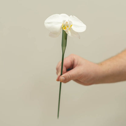 Orchid Vials Large With Stem & Cap Pack 10 Green (30cm)