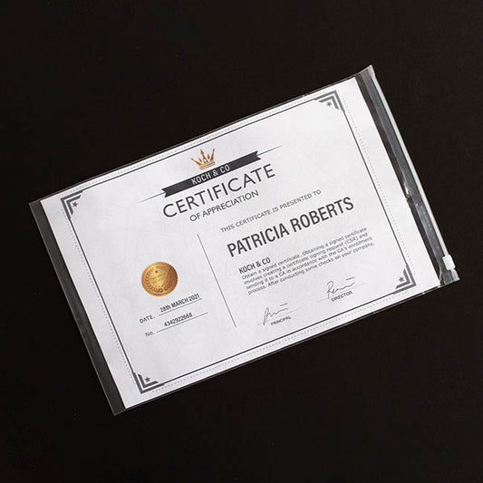 Resealable Zip Slide Cello Bag Clear Pack 100 (20Wx30cmH)