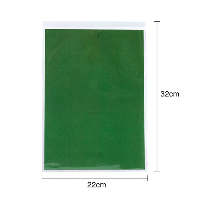 Resealable Press Seal Cello Bag Clear PK 100 (22Wx32cmH)