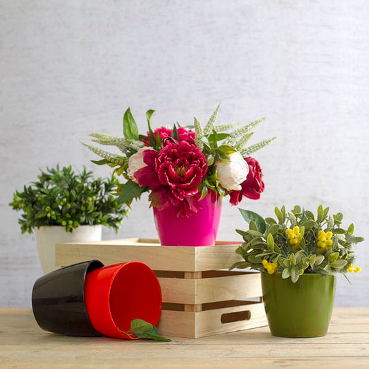 Regal Pot 13.5Dx11.5cmH Black