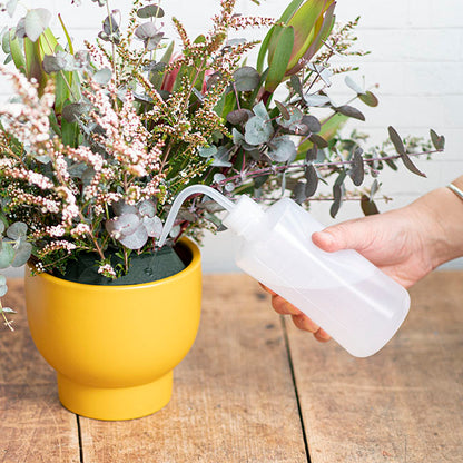 Water Supply Squeeze Bottle 500ml