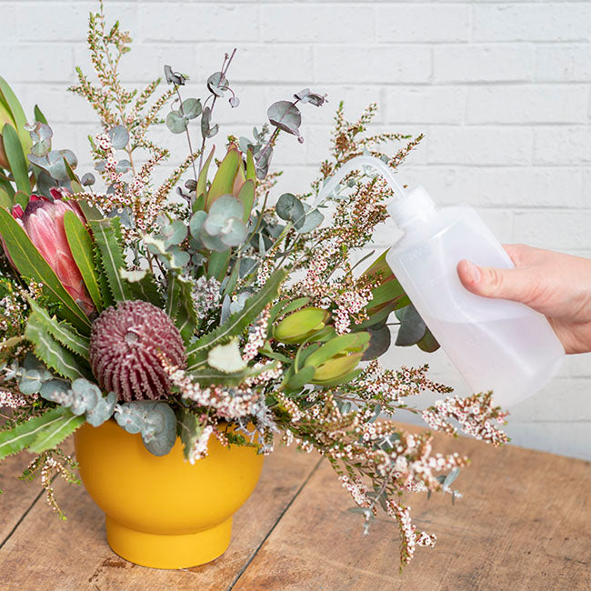 Water Supply Squeeze Bottle 500ml