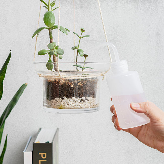 Water Supply Squeeze Bottle 250ml