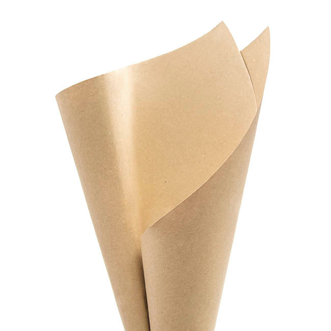 Premium Kraft Paper 110gsm Pack 100 Brown (54x76cm)