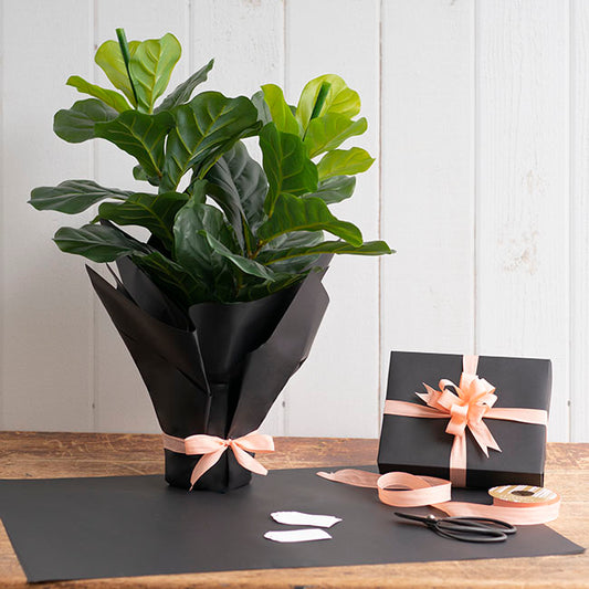 Premium Kraft Paper 80gsm Pack 100 Black (54x76cm)