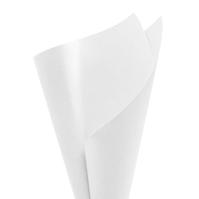 Premium Kraft Paper Glazed 120gsm Pack 100 White (54x76cm)