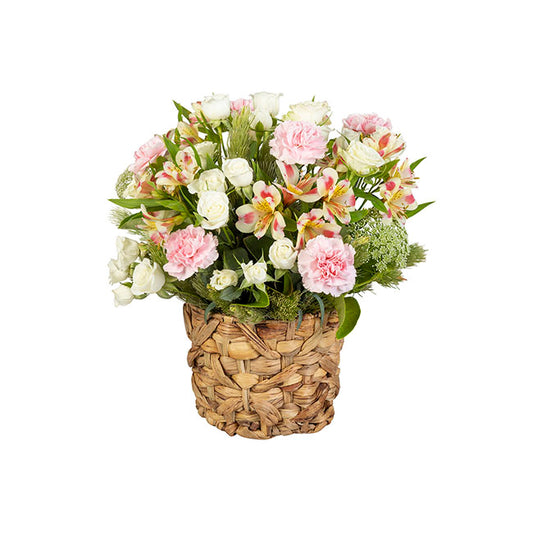 Interflora Carnation & Alstroemeria Arrangement