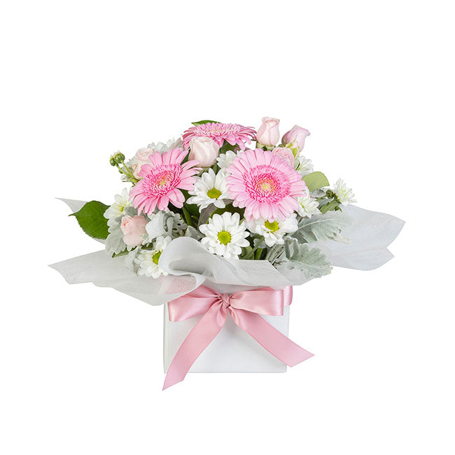 Interflora Gerbera & Daisy Chrysanthemum Mini Box – Koch & Co Pty Ltd