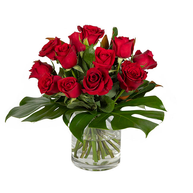 Interflora 12 Red Rose Bouquet in Vase