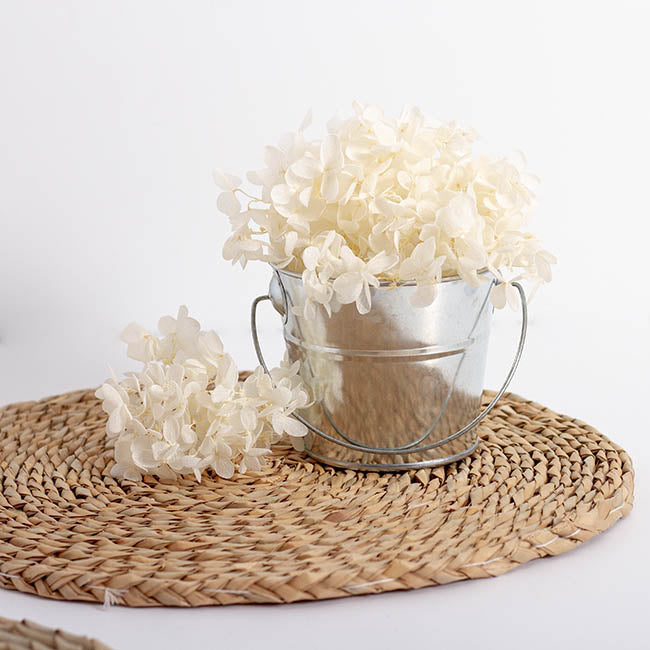 Tin Bucket with Handle Zinc Silver (12.5Dx10.5cmH)