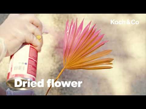 Watch & Learn How to Colour-Shift Dried Flowers with Koch & Co 'Hot Pink' Spray Paint