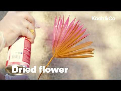Watch & Learn How to Colour-Shift Dried Flowers with Koch & Co 'Hot Pink' Spray Paint