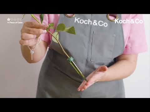 Watch & Learn how to use Florist Plastic Water Vials