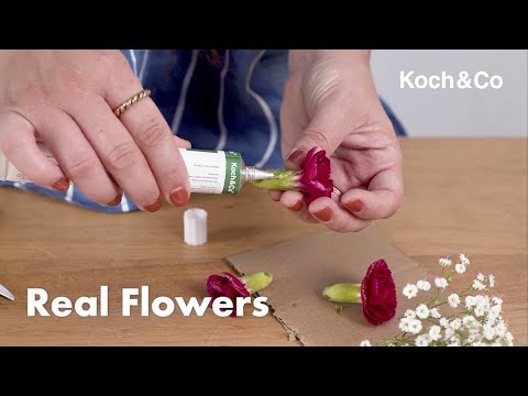 Discover Koch & Co® Floral Adhesive Hi Tack Cold Glue