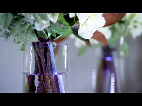 Watch & Learn How to use our LED submersible candles