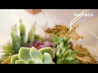 Discover Our Terrarium Tweezers and Scissor Set