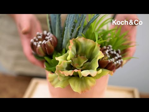How to make our Antique Pink Pot Succulent Arrangement