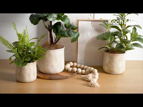 Discover our Ceramic Remy Beige Pot Collection