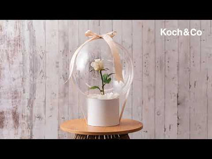 Learn how to put flowers inside our Bubble Balloons!