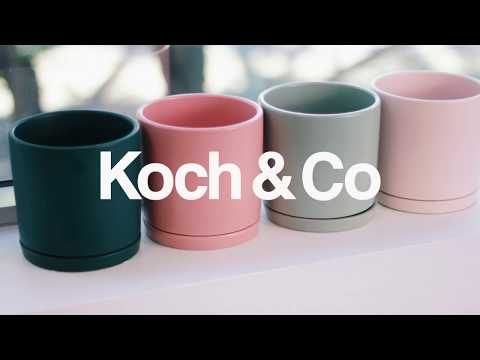 Explore Our Loreto Ceramic Plant Pots