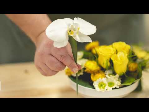 Watch & Learn how to use our Orchid Vials