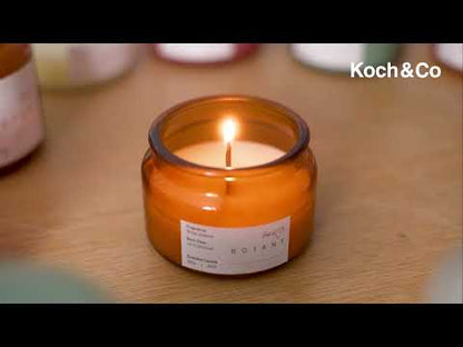 Immerse yourself in our fragrant Botany Candle Collection