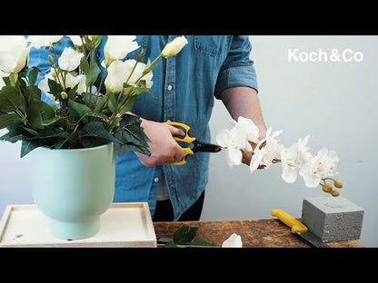 How to create an arrangement using our Buffalo Pot