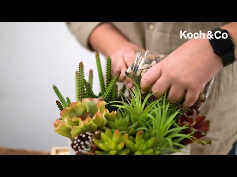 How to make our Cement Succulent Arrangement