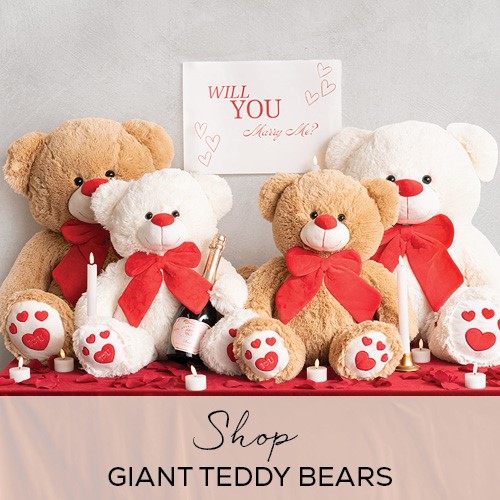 giant teddies