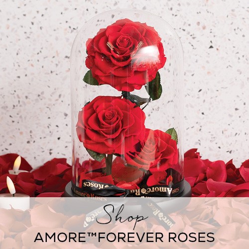 amore rose cloches