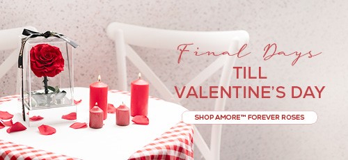 amore forever roses - final days before valentine's