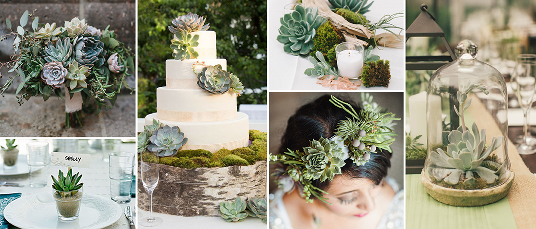 9 Ways To Decorate With Succulents For Weddings & Events