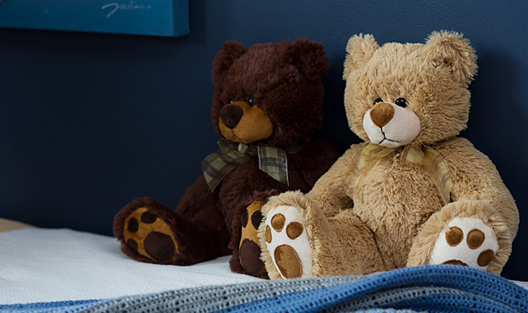 How to Choose the Right Teddy Bear