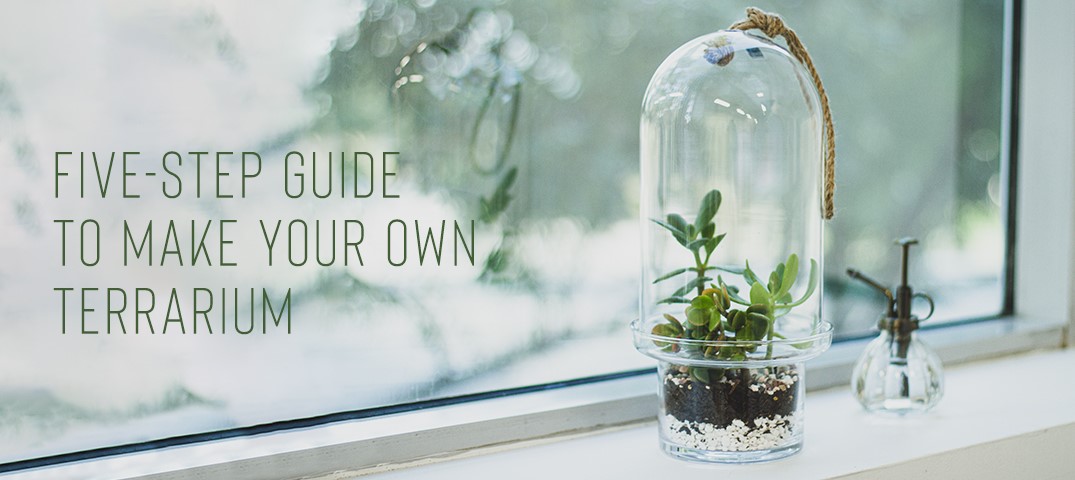 A Simple Five-Step Guide To Make Your Own Terrarium