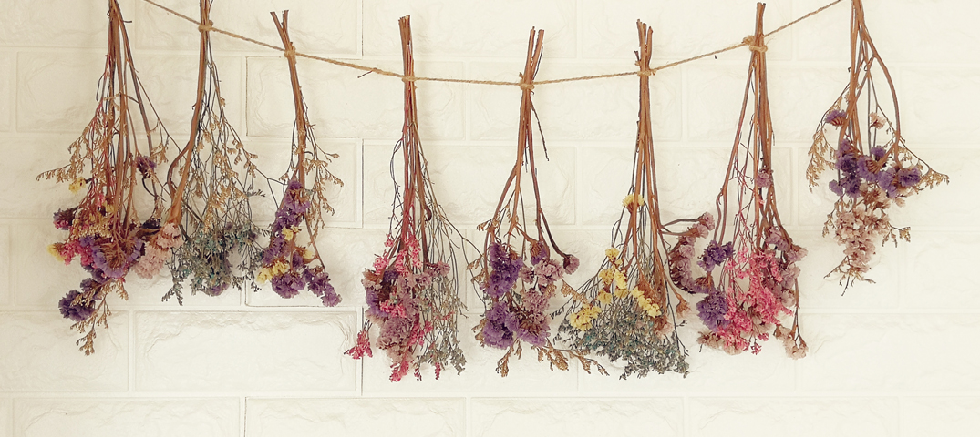 A Guide to Dried Flowers - Six Things You Need to Know