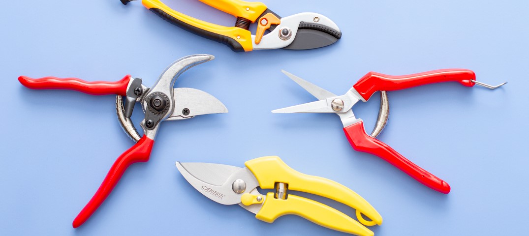 A Guide To Choosing The Best Secateurs