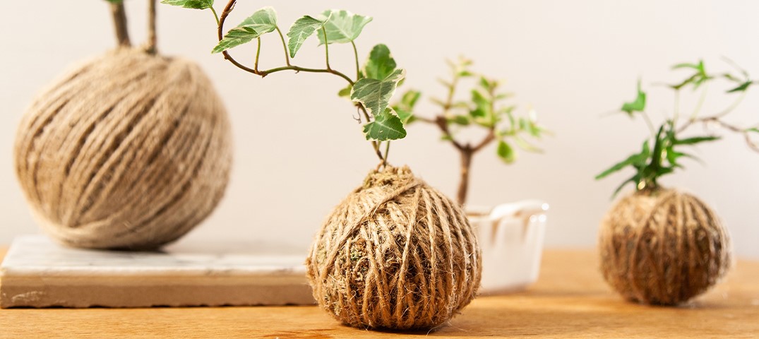 A Guide On How to Make Your Own Kokedama