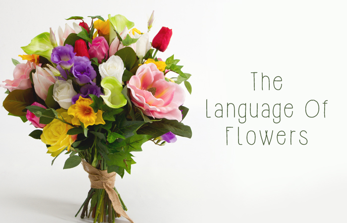 Floriography & The Hidden Meanings of Flowers