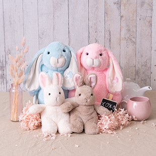 Bunny Soft Toys